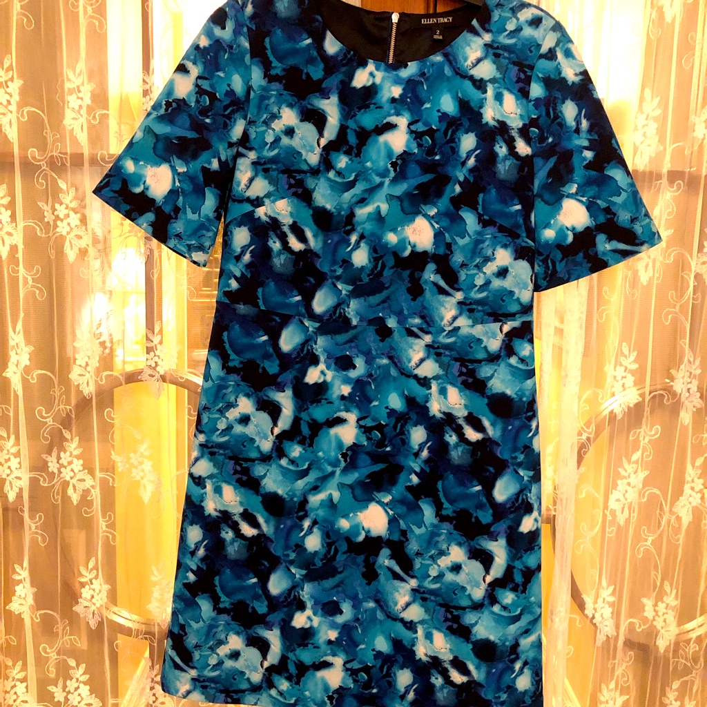 Ellen Tracy Dress Like Brand New